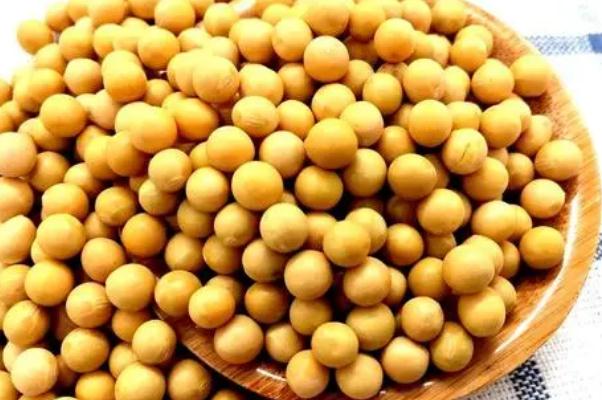 黃豆有黃體酮嗎 吃黃豆可以補黃體酮嗎 黃豆有黃體酮嗎 吃黃豆可以補黃體酮嗎