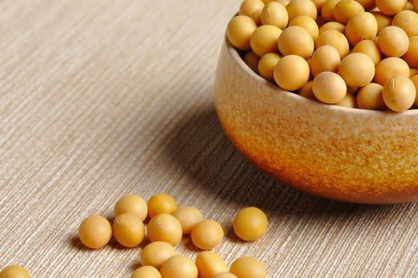黃豆有黃體酮嗎 吃黃豆可以補黃體酮嗎 黃豆有黃體酮嗎 吃黃豆可以補黃體酮嗎