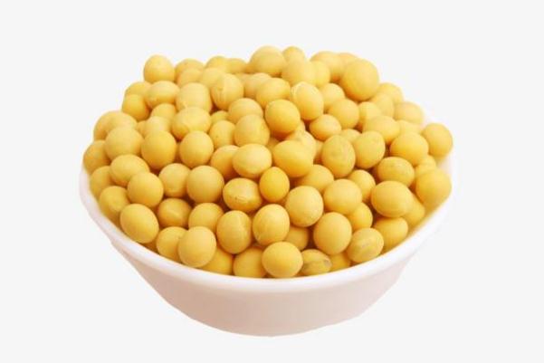 黃豆煮多久才算熟 黃豆泡多久可以打豆?jié){ 黃豆煮多久才算熟 黃豆泡多久可以打豆?jié){