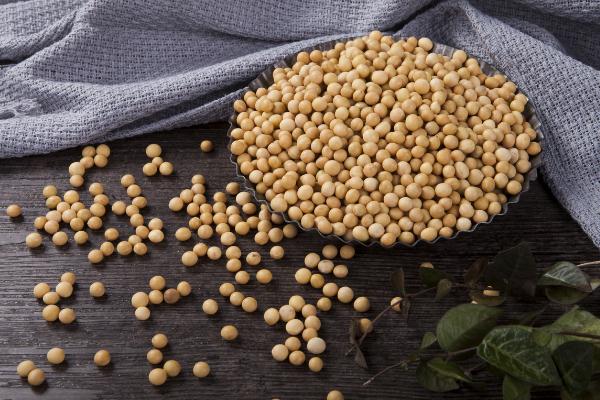 黃豆有黃體酮嗎 吃黃豆可以補黃體酮嗎 黃豆有黃體酮嗎 吃黃豆可以補黃體酮嗎
