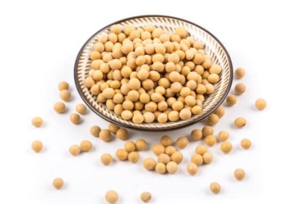 黃豆一天吃多少最好 黃豆怎么吃最有營養(yǎng) 黃豆一天吃多少最好 黃豆怎么吃最有營養(yǎng)