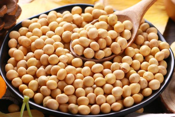 黃豆是毛豆嗎 黃豆是涼性還是熱性 黃豆是毛豆嗎 黃豆是涼性還是熱性