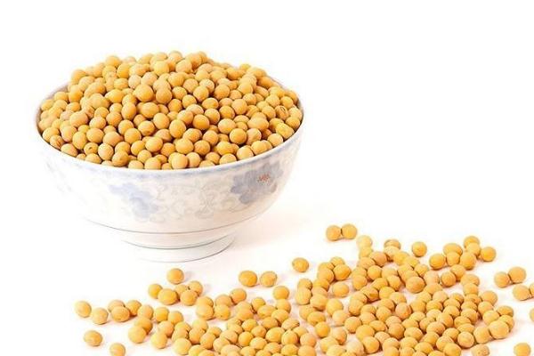 黃豆是豌豆嗎 黃豆有啥營(yíng)養(yǎng) 黃豆是豌豆嗎 黃豆有啥營(yíng)養(yǎng)