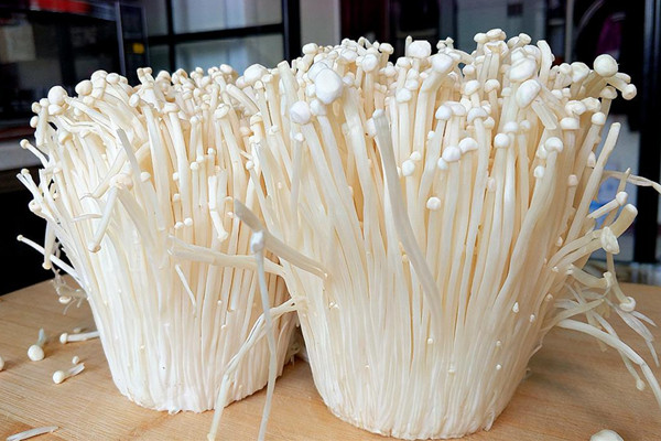 金針菇可以減肥嗎 金針菇減肥效果好嗎 金針菇可以減肥嗎 金針菇減肥效果好嗎