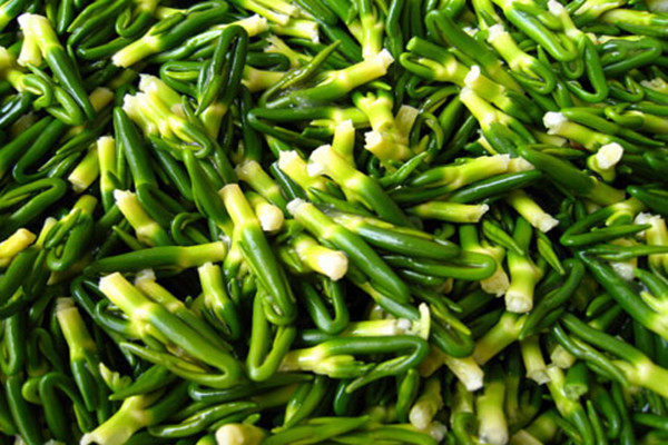 蓮子心泡水喝一次放多少 蓮子心泡水能多喝嗎 蓮子心泡水喝一次放多少 蓮子心泡水能多喝嗎