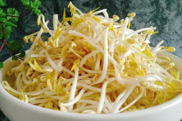 豆芽孕婦可以吃嗎 豆芽孕婦吃了有什么好處 豆芽孕婦可以吃嗎 豆芽孕婦吃了有什么好處