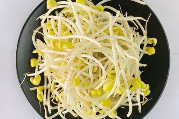 黃豆芽對(duì)肝臟有好處嗎 黃豆芽對(duì)糖尿病人有什么好處 黃豆芽對(duì)肝臟有好處嗎 黃豆芽對(duì)糖尿病人有什么好處