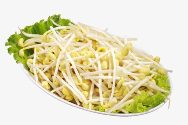 黃豆芽會(huì)上火嗎 皮膚過敏能吃黃豆芽嗎 黃豆芽會(huì)上火嗎 皮膚過敏能吃黃豆芽嗎