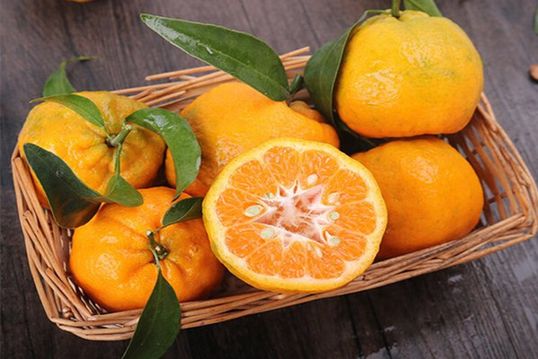 蘆柑是雜交的嗎 蘆柑可以放多久 蘆柑是雜交的嗎 蘆柑可以放多久