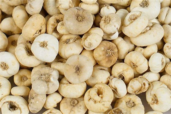 平貝母與川貝母的區(qū)別 平貝母是什么 平貝母與川貝母的區(qū)別 平貝母是什么