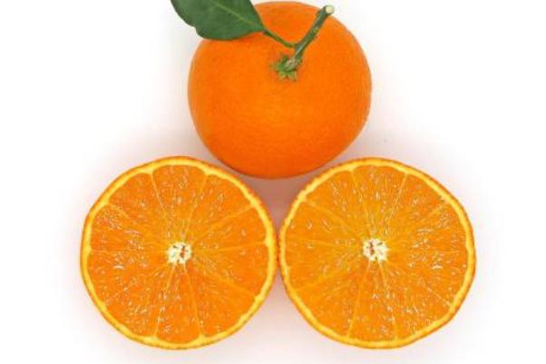 果凍橙的產(chǎn)地在哪里 果凍橙的季節(jié) 果凍橙的產(chǎn)地在哪里 果凍橙的季節(jié)