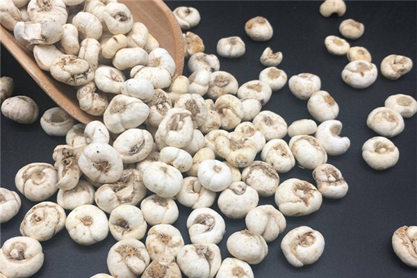 平貝母與川貝母的區(qū)別 平貝母是什么 平貝母與川貝母的區(qū)別 平貝母是什么