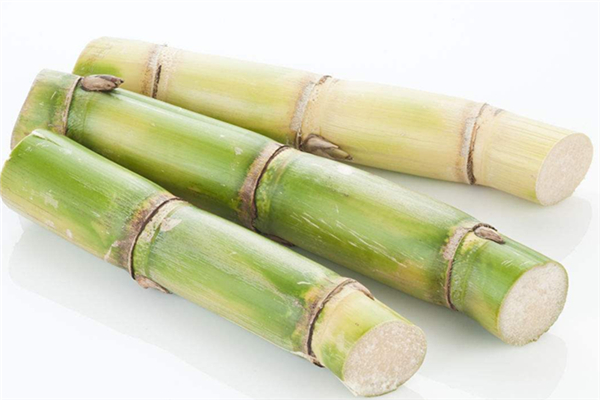 甘蔗可以制作紅糖嗎 甘蔗怎么做成紅糖 甘蔗可以制作紅糖嗎 甘蔗怎么做成紅糖