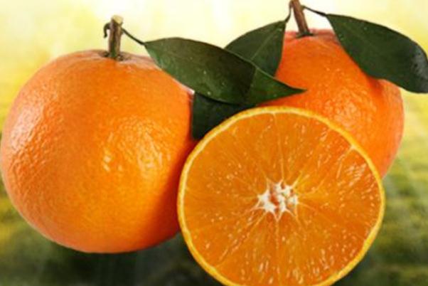 果凍橙的產(chǎn)地在哪里 果凍橙的季節(jié) 果凍橙的產(chǎn)地在哪里 果凍橙的季節(jié)