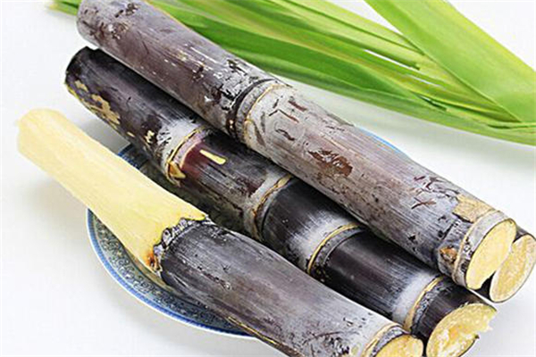 甘蔗斷面出現(xiàn)的紅色絲狀物代表什么 甘蔗有紅色絲還能吃嗎 甘蔗斷面出現(xiàn)的紅色絲狀物代表什么 甘蔗有紅色絲還能吃嗎