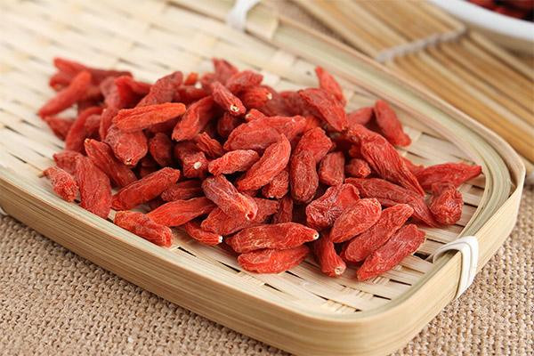 枸杞子能和菊花一起泡水喝嗎 枸杞子能和金銀花一起泡水喝嗎 枸杞子能和菊花一起泡水喝嗎 枸杞子能和金銀花一起泡水喝嗎