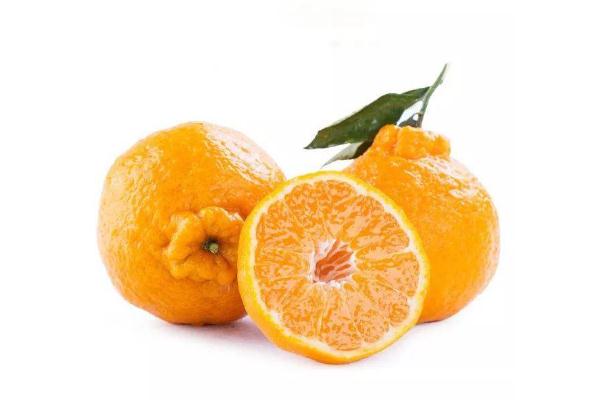 耙耙柑要不要放冰箱 耙耙柑怎么保存放時(shí)間長(zhǎng)些 耙耙柑要不要放冰箱 耙耙柑怎么保存放時(shí)間長(zhǎng)些