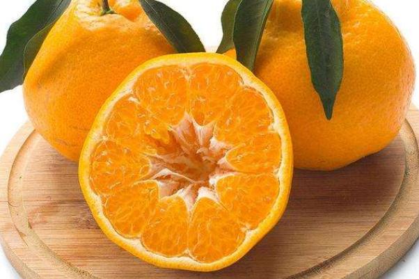 耙耙柑要不要放冰箱 耙耙柑怎么保存放時(shí)間長(zhǎng)些 耙耙柑要不要放冰箱 耙耙柑怎么保存放時(shí)間長(zhǎng)些