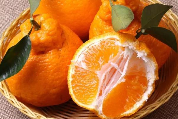 耙耙柑有點(diǎn)苦能吃嗎 粑粑柑凍了是什么樣子 耙耙柑有點(diǎn)苦能吃嗎 粑粑柑凍了是什么樣子