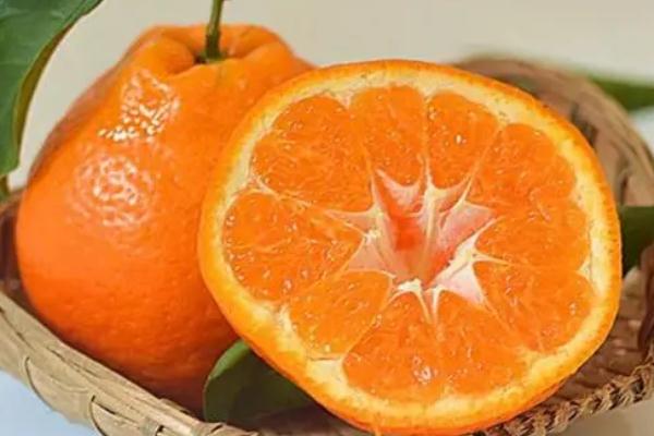 耙耙柑的糖度是多少 耙耙柑是什么品種 耙耙柑的糖度是多少 耙耙柑是什么品種