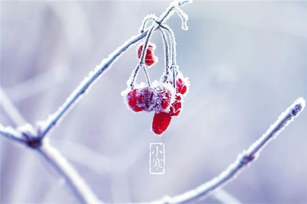 小寒的節(jié)氣含義是什么 小寒的來歷 小寒的節(jié)氣含義是什么 小寒的來歷
