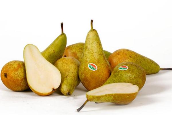 啤梨會胖嗎 啤梨為什么叫啤梨 啤梨會胖嗎 啤梨為什么叫啤梨