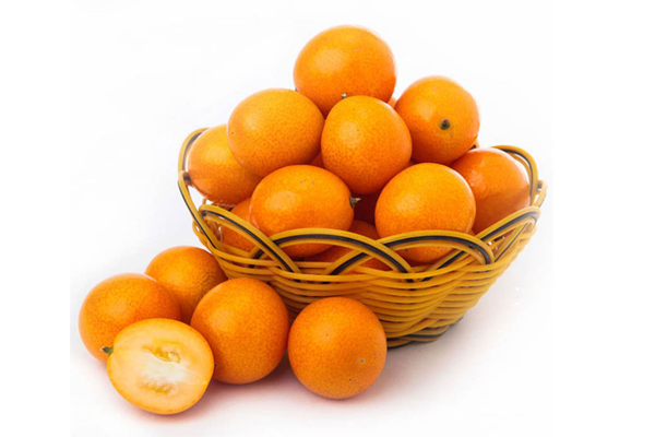 金桔是哪個(gè)季節(jié)的水果 金桔是涼性還是熱性 金桔是哪個(gè)季節(jié)的水果 金桔是涼性還是熱性