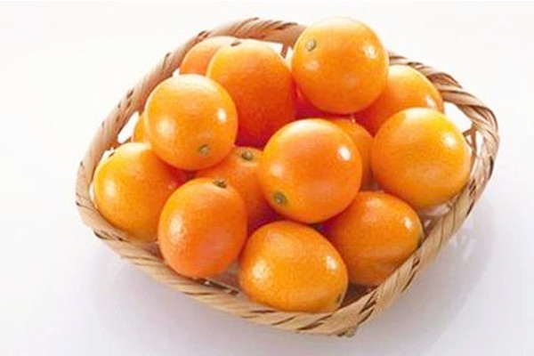 金桔的營(yíng)養(yǎng)價(jià)值 金桔能和蜂蜜一起吃嗎 金桔的營(yíng)養(yǎng)價(jià)值 金桔能和蜂蜜一起吃嗎