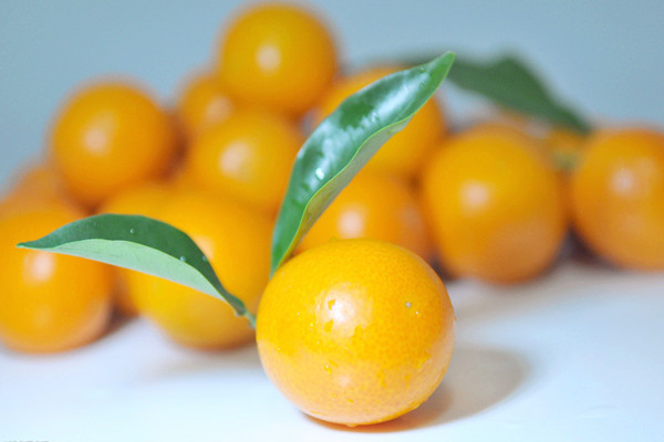 金桔的營(yíng)養(yǎng)價(jià)值 金桔能和蜂蜜一起吃嗎 金桔的營(yíng)養(yǎng)價(jià)值 金桔能和蜂蜜一起吃嗎