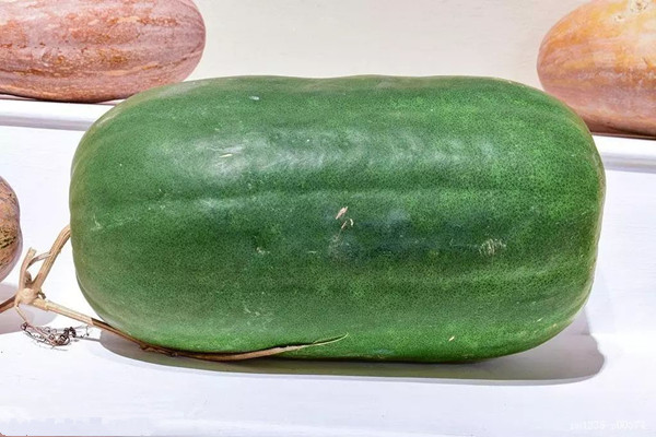 冬瓜會(huì)不會(huì)脹氣 冬瓜會(huì)不會(huì)回奶 冬瓜會(huì)不會(huì)脹氣 冬瓜會(huì)不會(huì)回奶