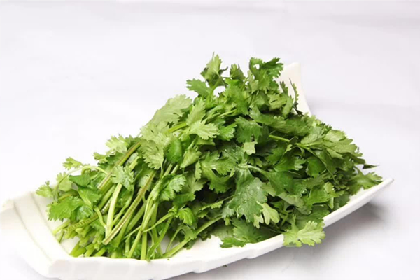 香菜會加速黑色素沉淀嗎 香菜會讓人變黑嗎 香菜會加速黑色素沉淀嗎 香菜會讓人變黑嗎