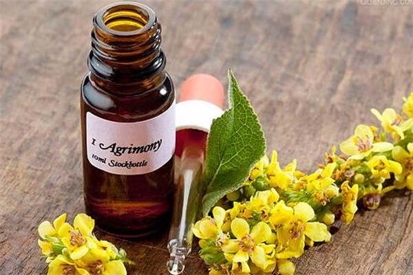 單方精油怎么調(diào)配 單方精油用什么基礎油