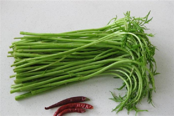 泥蒿吃葉子還是吃桿 泥蒿吃什么地方 泥蒿吃葉子還是吃桿 泥蒿吃什么地方