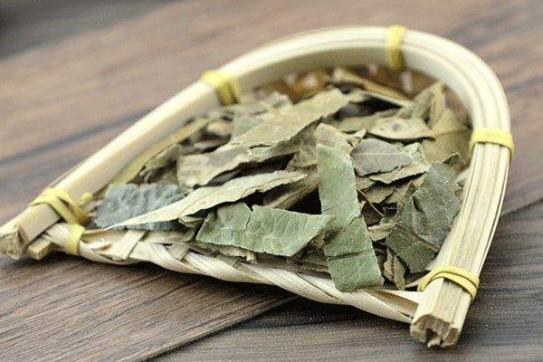 枇杷葉煮水可以治咳嗽嗎 枇杷葉煮水可以治療咽喉炎嗎 枇杷葉煮水可以治咳嗽嗎 枇杷葉煮水可以治療咽喉炎嗎