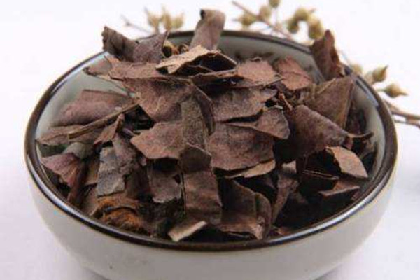 枇杷葉煮水可以治咳嗽嗎 枇杷葉煮水可以治療咽喉炎嗎 枇杷葉煮水可以治咳嗽嗎 枇杷葉煮水可以治療咽喉炎嗎