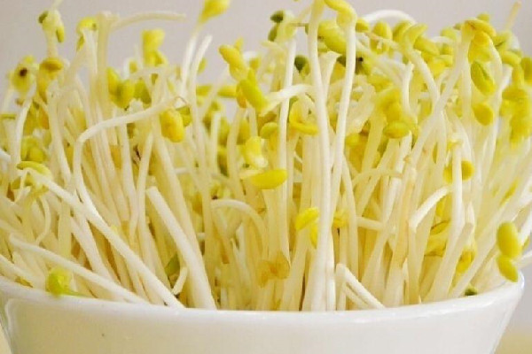 綠豆芽和黃豆芽哪個(gè)營養(yǎng)價(jià)值高 綠豆芽和黃豆芽區(qū)別
