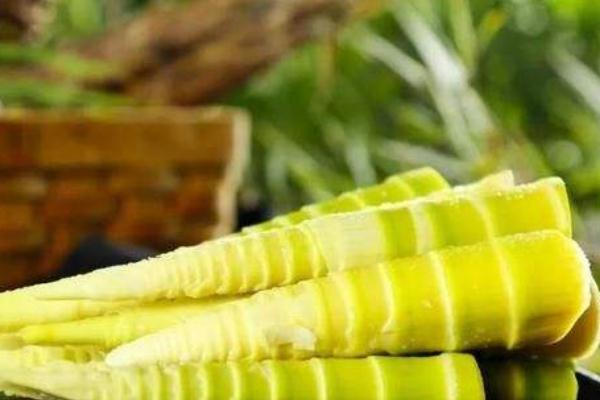 春筍要剝到什么程度 春筍要怎么保存 春筍要剝到什么程度 春筍要怎么保存