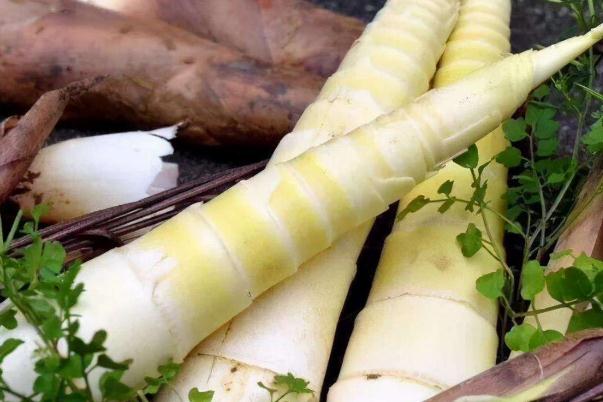 春筍有點黑還能吃嗎 春筍會過敏嗎 春筍有點黑還能吃嗎 春筍會過敏嗎