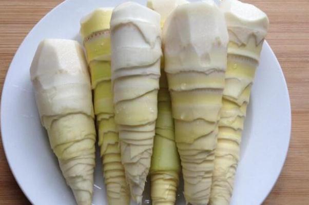 春筍是涼性還是熱性 春筍是竹子嗎 春筍是涼性還是熱性 春筍是竹子嗎