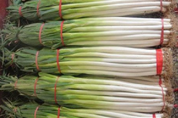 大蔥可以保存多久 大蔥放冰箱好還是放外面好 大蔥可以保存多久 大蔥放冰箱好還是放外面好