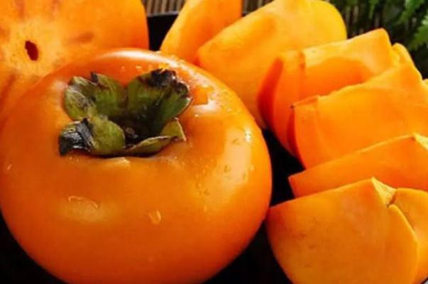 脆柿子是轉(zhuǎn)基因水果嗎 脆柿子是熱性還是涼性 脆柿子是轉(zhuǎn)基因水果嗎 脆柿子是熱性還是涼性