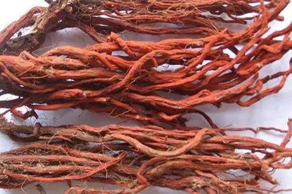 丹參能和黃芪一起泡水喝嗎 丹參能和西洋參一起泡水喝嗎 丹參能和黃芪一起泡水喝嗎 丹參能和西洋參一起泡水喝嗎