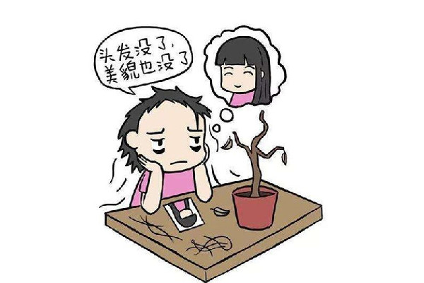 植發(fā)前要剃光頭發(fā)嗎 植發(fā)需要植幾次可以成功 植發(fā)前要剃光頭發(fā)嗎 植發(fā)需要植幾次可以成功