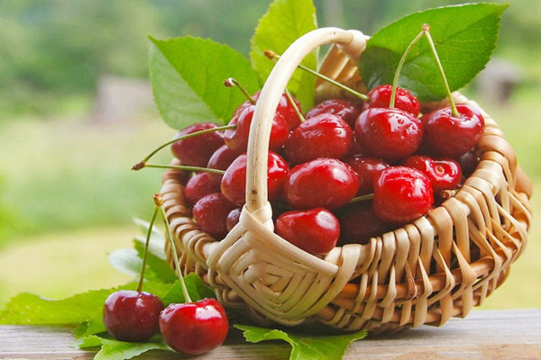 車?yán)遄涌梢苑疟浔4鎲?車?yán)遄臃疟淇梢员4娑嗑? alt=