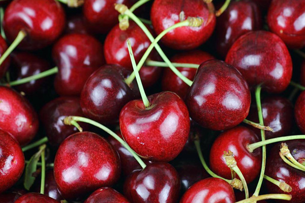 車(chē)?yán)遄涌梢耘菥茊?車(chē)?yán)遄优菥朴惺裁从? alt=