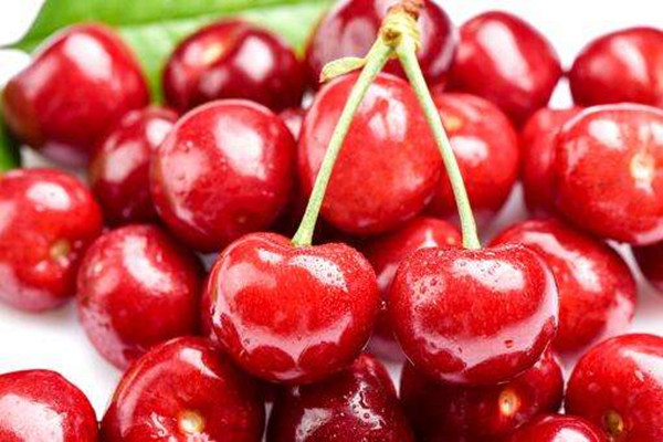 車?yán)遄釉袐D能不能吃 車?yán)遄釉袐D吃了有什么好處 車?yán)遄釉袐D能不能吃 車?yán)遄釉袐D吃了有什么好處