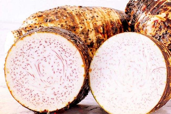 芋頭的營(yíng)養(yǎng)價(jià)值有哪些 芋頭能讓孕婦吃嗎 芋頭的營(yíng)養(yǎng)價(jià)值有哪些 芋頭能讓孕婦吃嗎