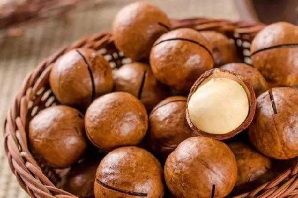 夏威夷果可以放多久 夏威夷果怎么存放 夏威夷果可以放多久 夏威夷果怎么存放