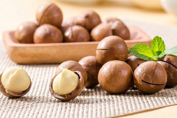 夏威夷果生的能吃嗎 夏威夷果生的好還是熟的好 夏威夷果生的能吃嗎 夏威夷果生的好還是熟的好