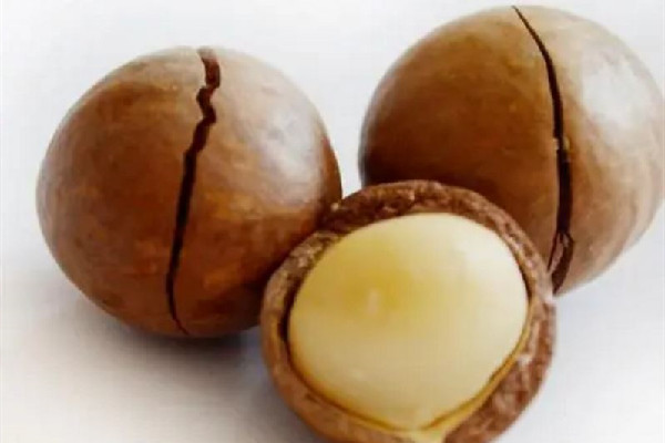 夏威夷果是熱性還是涼性 夏威夷果可以天天吃嗎 夏威夷果是熱性還是涼性 夏威夷果可以天天吃嗎